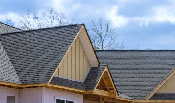 Best Roof Insulation Installation  in Dunbar, WV